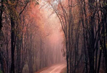 西湖区疫情:城市绿肺下的防控挑战与地理屏障