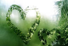 定远县新增1例无症状感染者  定远县疫情防控最新通报_9020