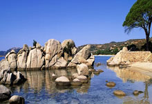 【肇庆：西江屏障下的防疫挑战与精准应对】